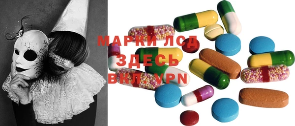 стаф Богданович