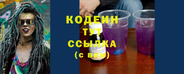 стаф Богданович