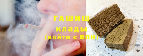 стаф Богданович