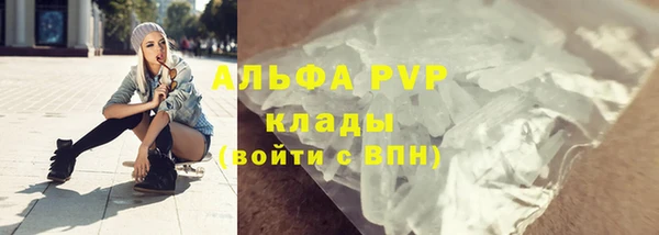 стаф Богданович