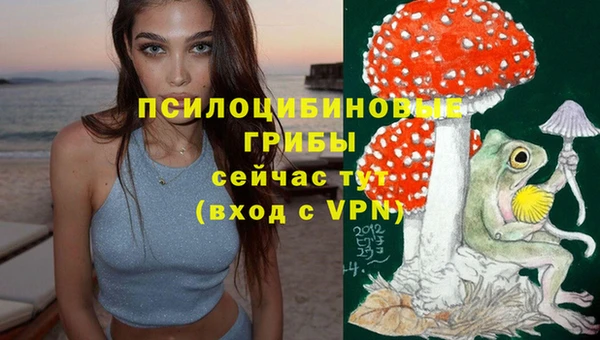 мяу мяу мука Сатка