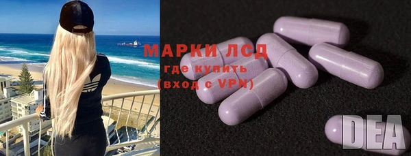 стаф Богданович